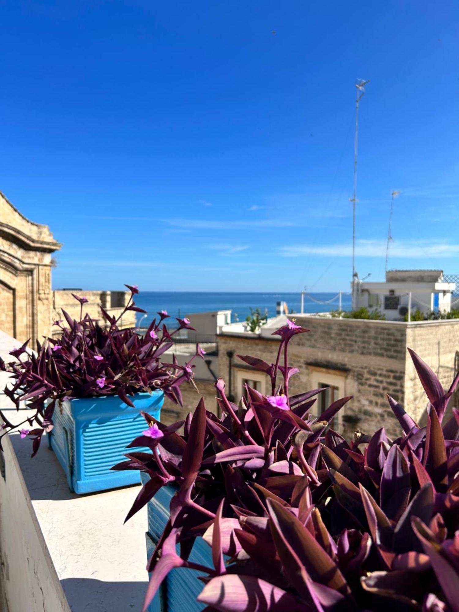 Santa Scolastica Home Bari Bagian luar foto